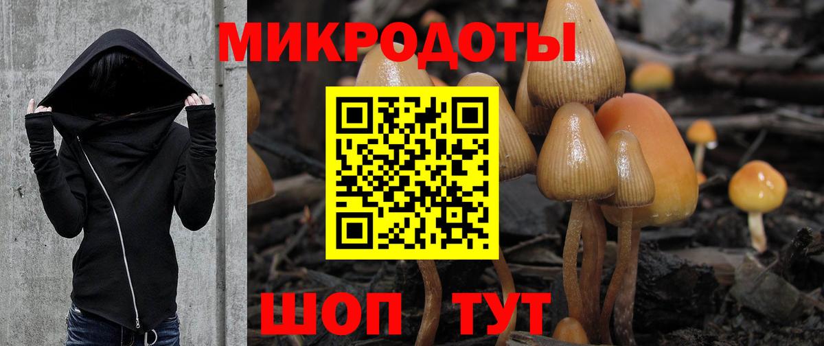 Канаш  Галлюциногенные грибы Psilocybine cubensis  Вход с VPN 