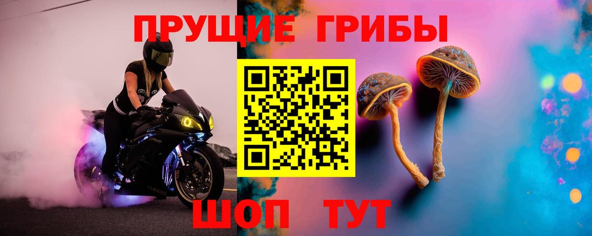 APVP Канаш